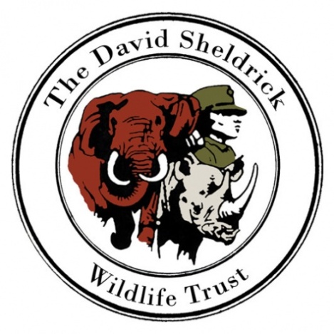 david-sheldrick-wildlife_152012217521.jpg_article_singleimage